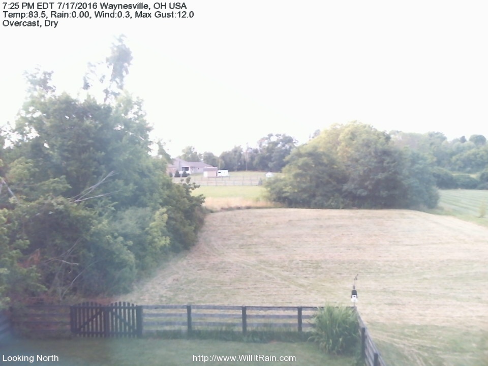 Web Cam History Image - 77